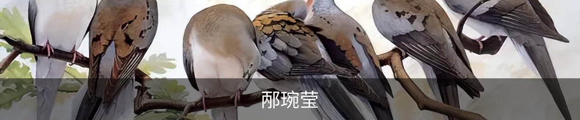 案例中心